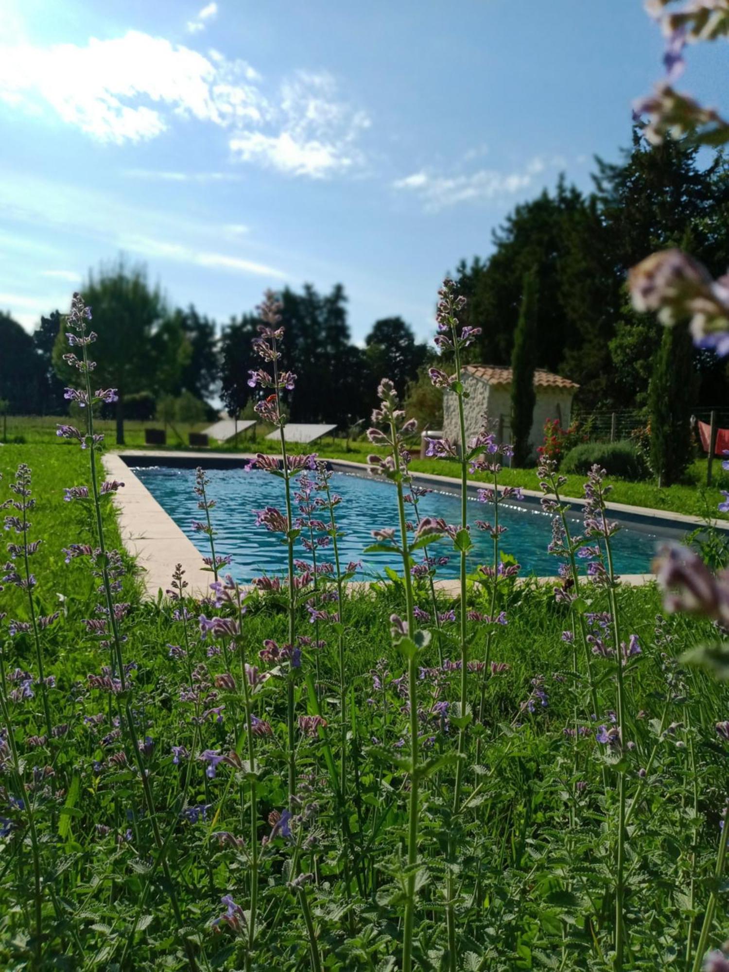 Mas De Karlotte Villa Pernes-les-Fontaines Eksteriør billede