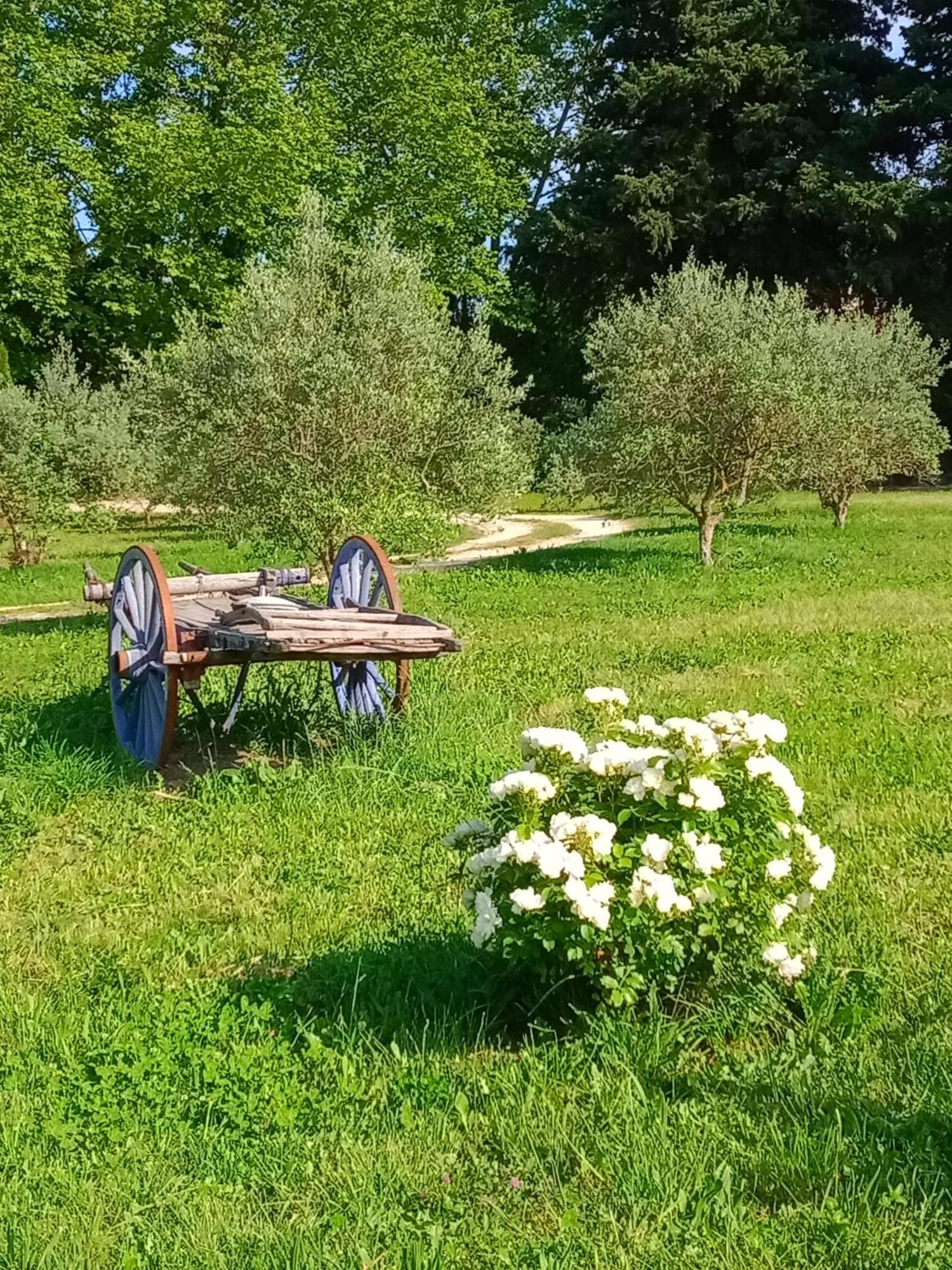 Mas De Karlotte Villa Pernes-les-Fontaines Eksteriør billede